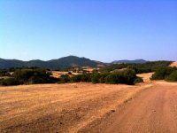 Sviluppo di nuovi prodotti nei settori agricolo, alimentare e forestale